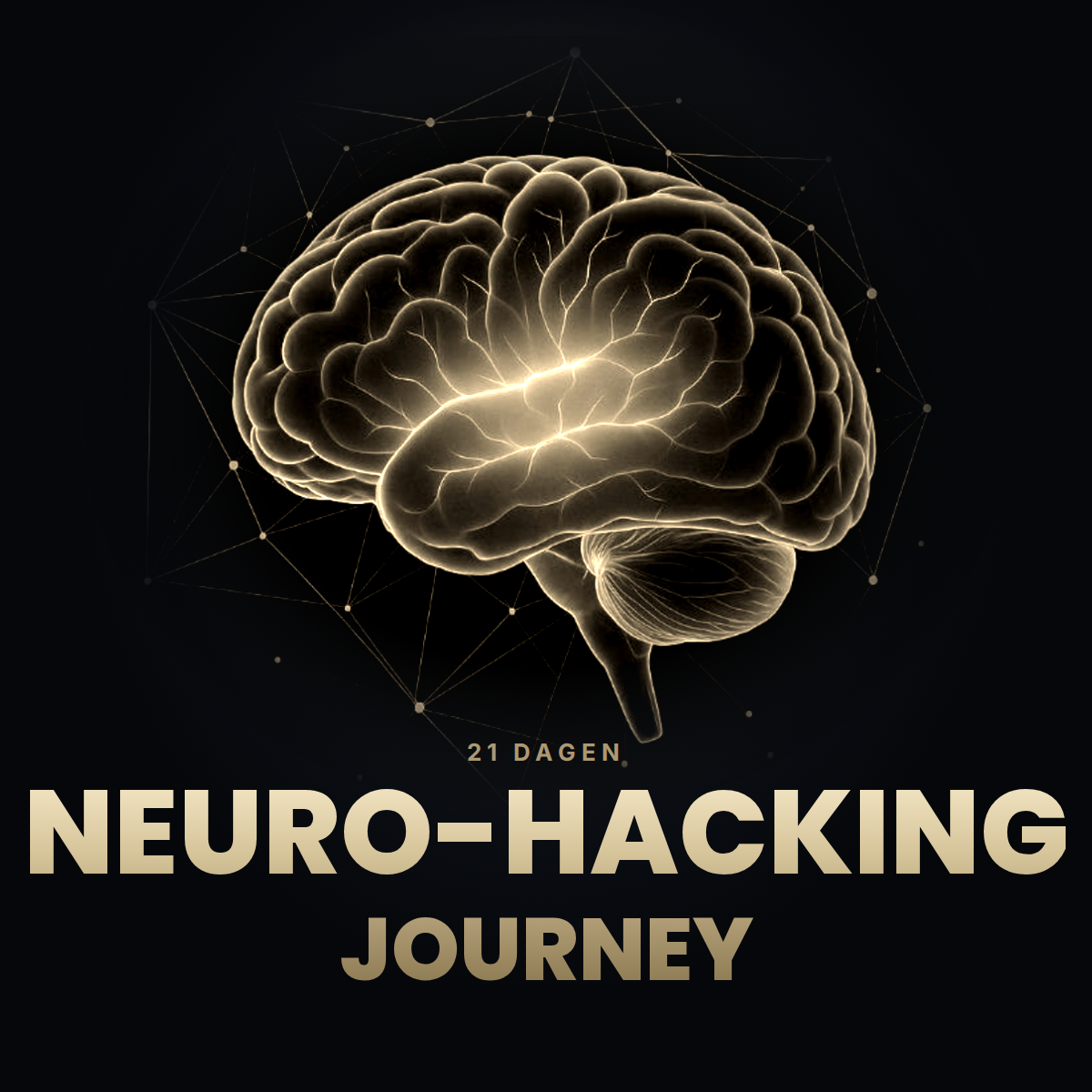 Neuro Hacking Journey